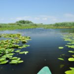 Beautiful lake in Danube delta, Romania