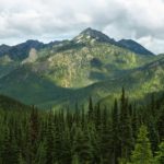 Hurricane Ridge of Olympic National Park