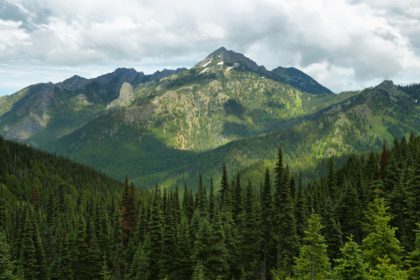 Hurricane Ridge of Olympic National Park